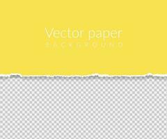 Vector background with torn paper in yellow color.