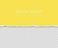 Vector background with torn paper in yellow color.