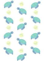 Little turtles and shell design for pattern cartoon style. vector