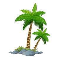 illustration of palm tree vector with white background