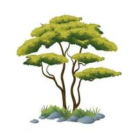 ilustración de africano árbol vector con blanco antecedentes