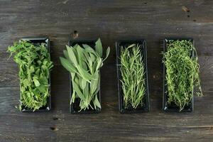 Store Bought Various Herbs, Sage, Rosemary, Oregano, and Thyme. photo