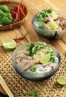 Vietnam Beef Pho Meat Soup photo