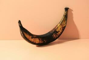 Rotten Banana Isolated on Pop Color Background photo