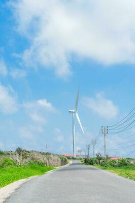 image of the road and wind turbines on Phu Quy island in Vietnam