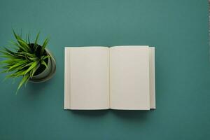 Open white textbook on light green background photo