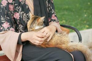 Female hugging her cat. people in live with cat . photo