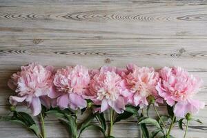 delicate peonies on a wooden background. Flat lay, top view. Place for text. Greeting card photo