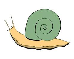 caracol mano dibujado contorno con verde cáscara y amarillo cuerpo, aislado, blanco antecedentes. vector