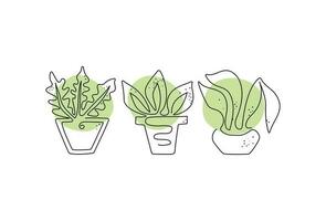 Pot plant, set, line art. Home plants. Vector illustration, white isolated background.