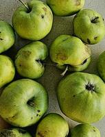 textura de verde manzanas en el verano temporada de 2023 en Italia foto