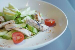 vegetable salad with grilled chicken photo