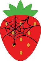 Strawberry with cobweb and spider for decoration vector