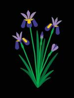 Iris Flower Arrangement Geometric Style vector