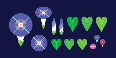 Morning Glory Flower geometric icon set vector