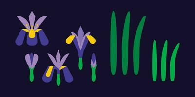 Iris Flower geometric icon set vector