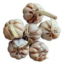 These are shallots and garlic, which have many benefits and nutritional content to meet food needs. photo