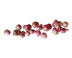 These are shallots and garlic, which have many benefits and nutritional content to meet food needs. photo