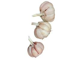 These are shallots and garlic, which have many benefits and nutritional content to meet food needs. photo