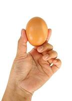 These are eggs, which have many benefits and nutritional content to meet food needs. photo