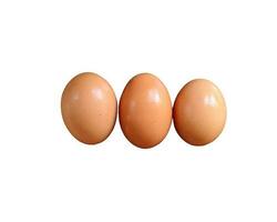 These are eggs, which have many benefits and nutritional content to meet food needs. photo