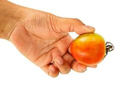 This is a tomato, a fruit that has many benefits and contains vitamins. photo