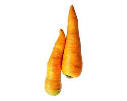 esta es zanahorias, un Fruta ese tiene muchos beneficios y contiene vitaminas foto