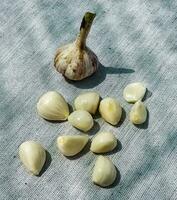 Garlic cloves and a head of garlic on a gray burlap. photo