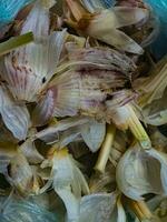 Organic waste after peeling garlic. Background of waste from vegetable crops. photo