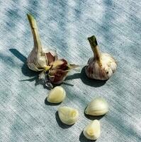 Garlic cloves and a head of garlic on a gray burlap. photo