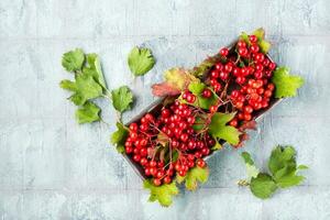 Branches with ripe viburnum berries and leaves on a substrate on the table. Wellness, Alternative Medicine and Vitamin Nutrition. Top view. Copy space photo