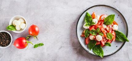 Delicious caprese salad with ripe tomatoes, mozzarella cheese and basil on a plate top  view web banner photo