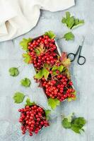 Ripe viburnum berries with leaves in a bowl and branches of viburnum on a substrate on the table. Wellness, Alternative Medicine and Vitamin Nutrition. Top and vertical view photo