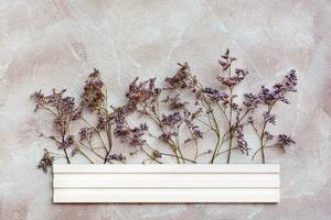 Dry purple flowers behind a white wooden border on a textured background. Romantic greeting vintage card. Top view photo