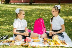dos colegialas tener un picnic en un cobija en un soleado otoño parque. al aire libre educación para niños. espalda a colegio concepto foto