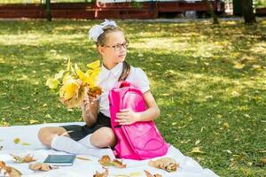 A cute schoolgirl with white bows is holding a bouquet of autumn leaves and a backpack while sitting on a blanket in a sunny autumn park. Outdoor homework. Back to school concept photo