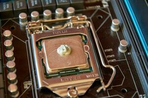 applying thermal paste to the central processor of the motherboard close up photo