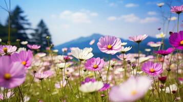 Nature floral background in early summer. Colorful natural spring landscape with with flowers, soft selective focus, Generative AI illustration photo