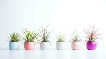 foto de ornamental plantas en minimalista maceta como planta de casa para hogar decoración aislado en blanco antecedentes. generativo ai