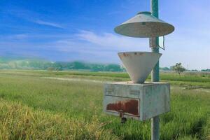 light trap or Insect Killer Lamp or Solar Insect Killer Lamp on field photo