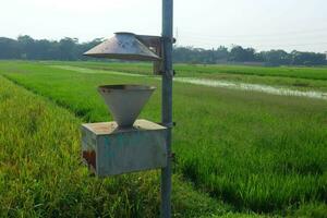 light trap or Insect Killer Lamp or Solar Insect Killer Lamp on field photo