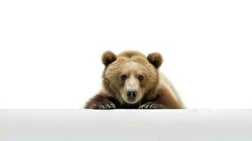 Photo of a american bear on white background. Generative AI