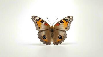 Photo of a Common Buckeye Butterfly on white background. Generative AI