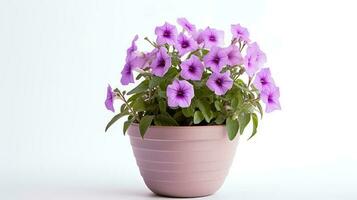 Photo of Petunia in minimalist pot as houseplant for home decoration isolated on white background. Generative AI