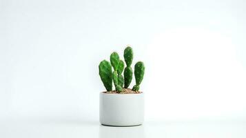 Photo of Prickly pear in minimalist pot as houseplant for home decoration isolated on white background. Generative AI
