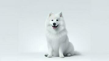 Photo of a samoyed on white background. Generative AI