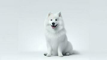 foto de un Samoyedo en blanco antecedentes. generativo ai