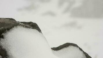 Snow Layers Accumulating on Rock in the Hard Stormy Cold Weather in Winter video