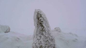 Schnee Schichten ansammeln auf Felsen im das schwer stürmisch kalt Wetter im Winter video