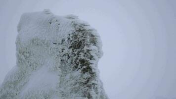 Schnee Schichten ansammeln auf Felsen im das schwer stürmisch kalt Wetter im Winter video